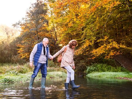 Senior par der vandrer i naturen om efteråret